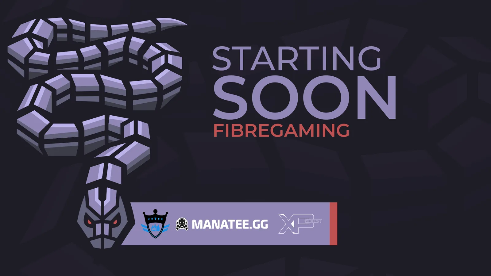 Fibre Gaming — project image 5